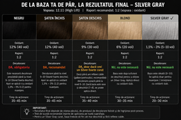 Vopsea Argintiu Profesional - imagine 6