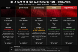 Vopsea Profesională Roșu Aprins - imagine 10