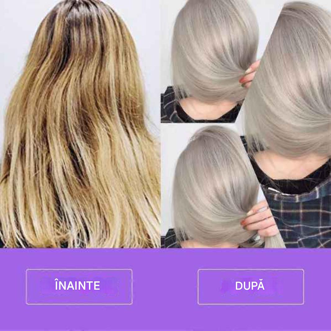Vopsea Argintiu Profesional