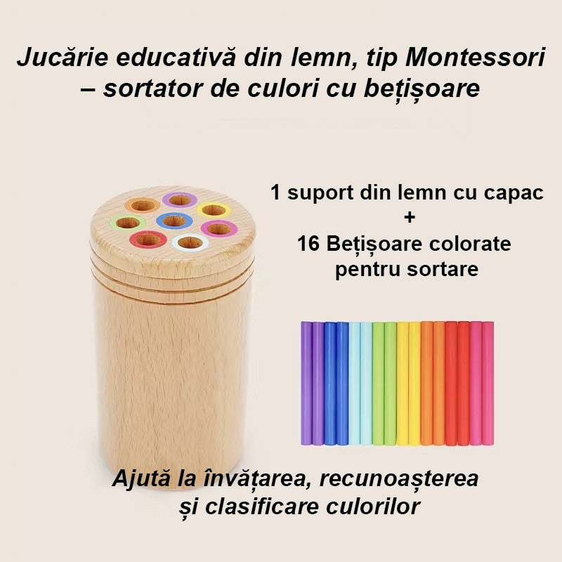 Sortator Educativ din Lemn cu Bețișoare Colorate