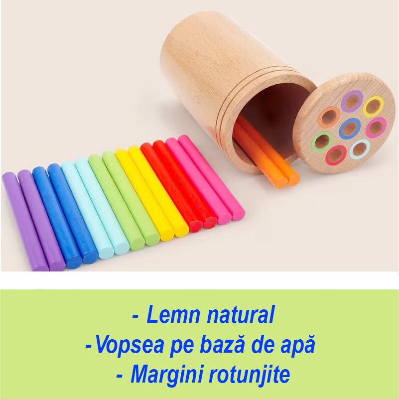 Sortator Educativ din Lemn cu Bețișoare Colorate